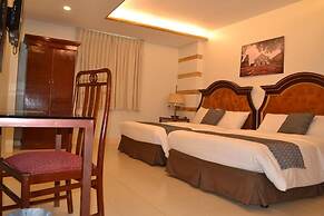 METRO VIGAN INN