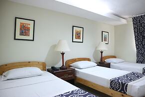 METRO VIGAN INN