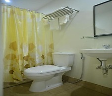METRO VIGAN INN