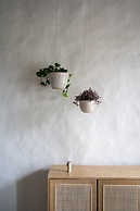 Owl's Nest Suites