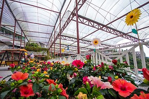 Kea Garden Guesthouse