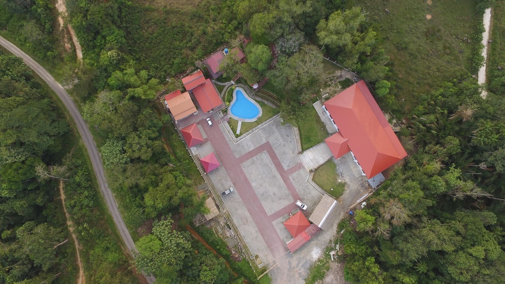 Borneo Tree House