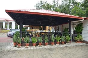 Borneo Tree House
