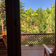 Blue Vanda Lodge