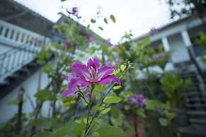 Dream Butterfly Garden Boutique Villa