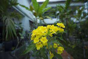 Dream Butterfly Garden Boutique Villa