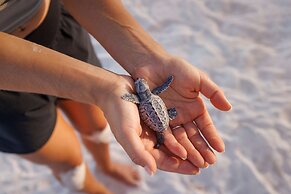 Sandals Royal Barbados - ALL INCLUSIVE Couples Only