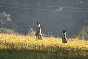 Bluegums Cabins Barrington Tops