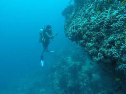Scuba Inn