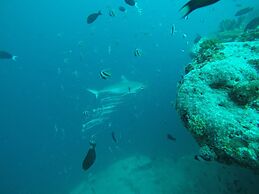Scuba Inn