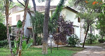 B&B Viale dei Pini