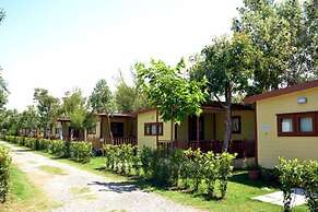Camping Le Palme