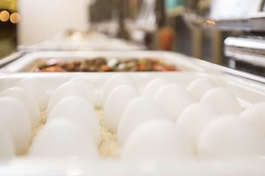 Prime Hotel Al Hamra Jeddah