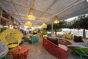 Dakhla Attitude