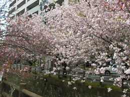 Plaza Hotel Fujinoi