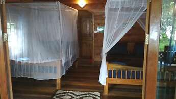 Tree House Bungalows Resort