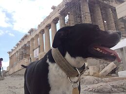 Athens Backpackers