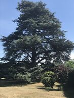 Cedar House