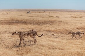 Mawe Luxury Tented Camp