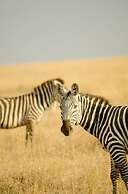 Mawe Luxury Tented Camp