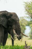 Mawe Luxury Tented Camp