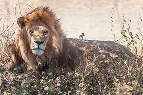 Mawe Luxury Tented Camp