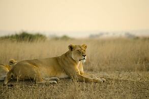 Mawe Luxury Tented Camp