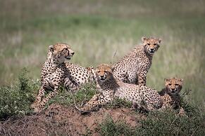 Mawe Luxury Tented Camp