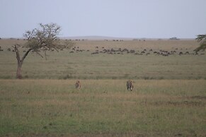 Mawe Luxury Tented Camp