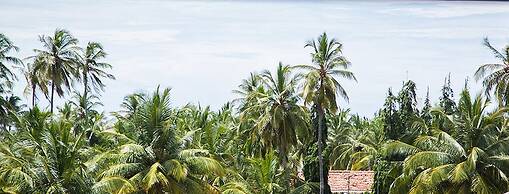 Suriya Arana
