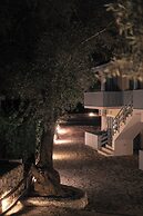 Nerina Studios