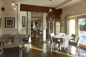 The Golden Pheasant