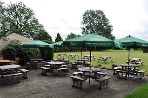 The Golden Pheasant
