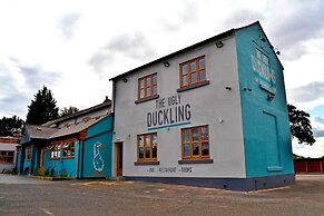 The Ugly Duckling