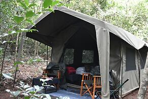 Explorer by Eco Team - Knuckles