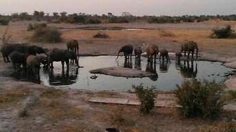 Thobolo's Bush Lodge