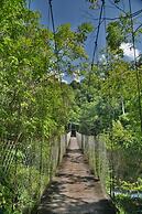 Ecolodge Las Nubes Chiapas