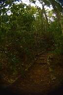 Ecolodge Las Nubes Chiapas