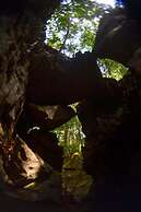 Ecolodge Las Nubes Chiapas