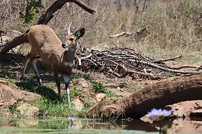 Antares Bush Camp & Safaris - Hostel