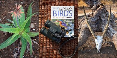 Antares Bush Camp & Safaris - Hostel