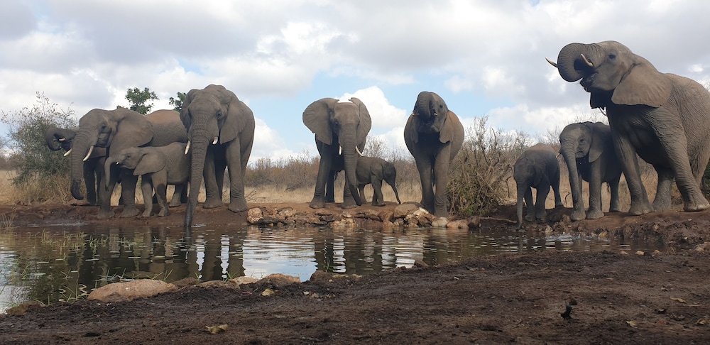 Antares Bush Camp & Safaris - Hostel