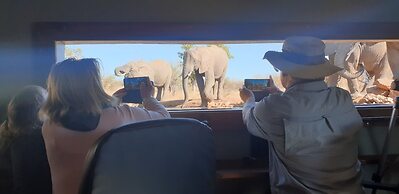 Antares Bush Camp & Safaris - Hostel