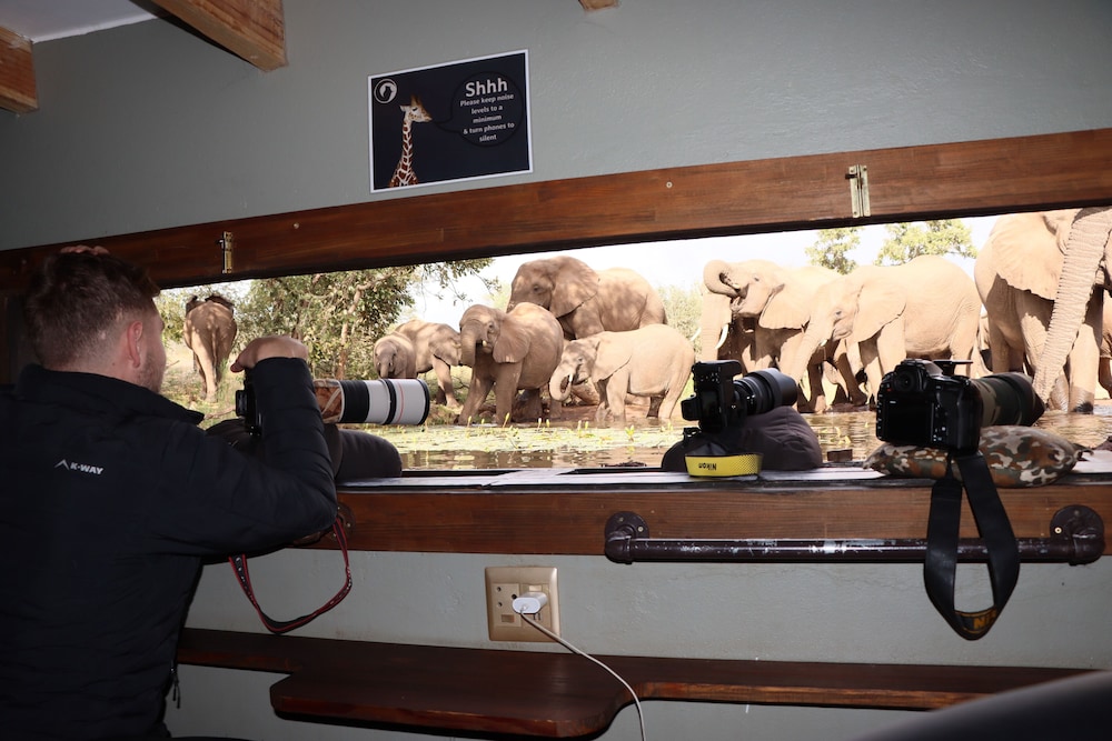 Antares Bush Camp & Safaris - Hostel