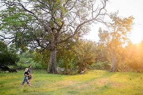 Rukiya Safari Camp
