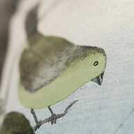 The Aviary