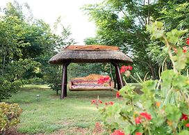 Amohela Guesthouse