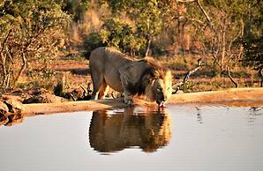 Jamila Game Lodge