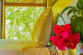 Solost Hotel Eco Boutique