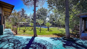 Lemon Tree Hostel